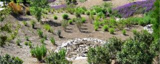 Stormwater Stormwater