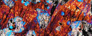 Geoscience Geoscience