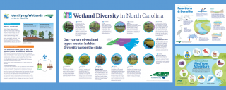 Samples of infographics