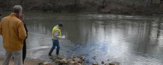 water testing water testing
