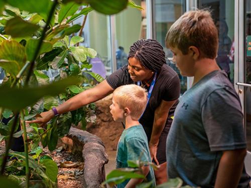 a young African American docent points out something to a young boy in a museum display