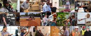 employees working in a diverse number of fields