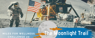 Astronaut on the moon saluting with the American flag and lunar module in the background.