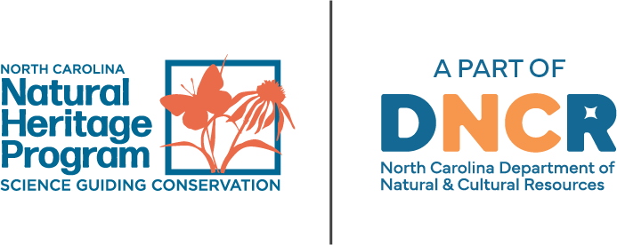 DNCR logo, click to open DNCR homepage
