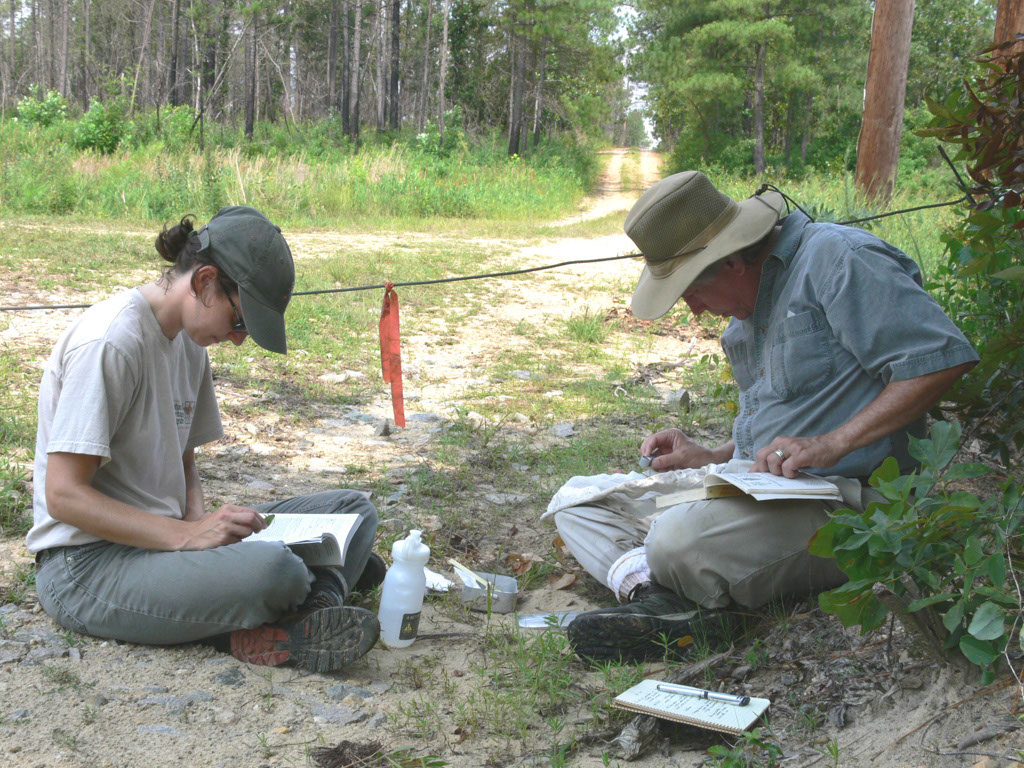 Insect Sampling and Identification by Bruce Sorrie
