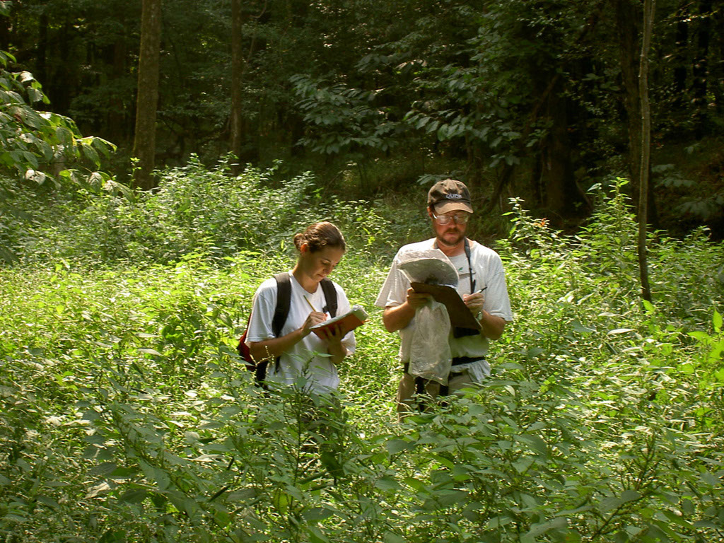 Note Taking in the Field