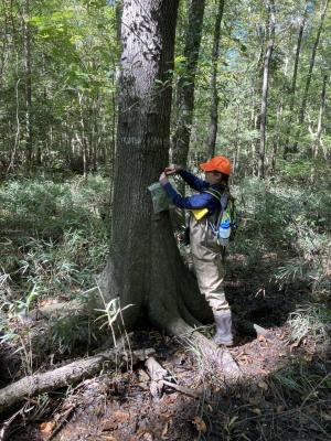 a focused individual