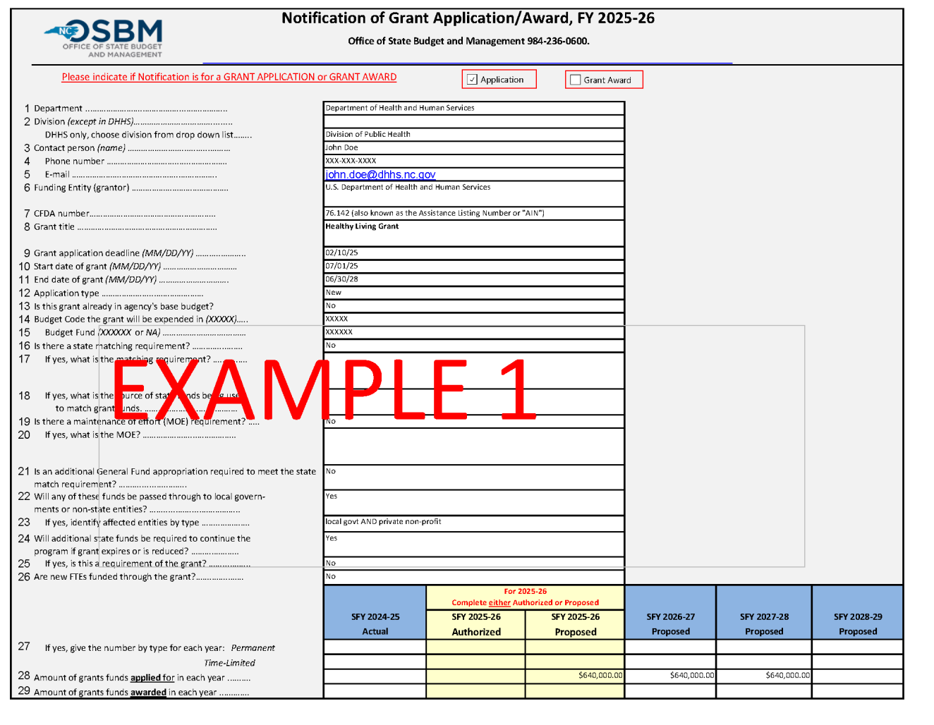 Example grant reporting form for a recurring grant, no FTE