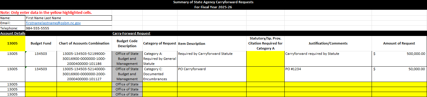 Screenshot of the State Agency Carryforward Template in Excel