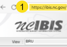 Navigate to the IBIS portal at IBIS.NC.GOV