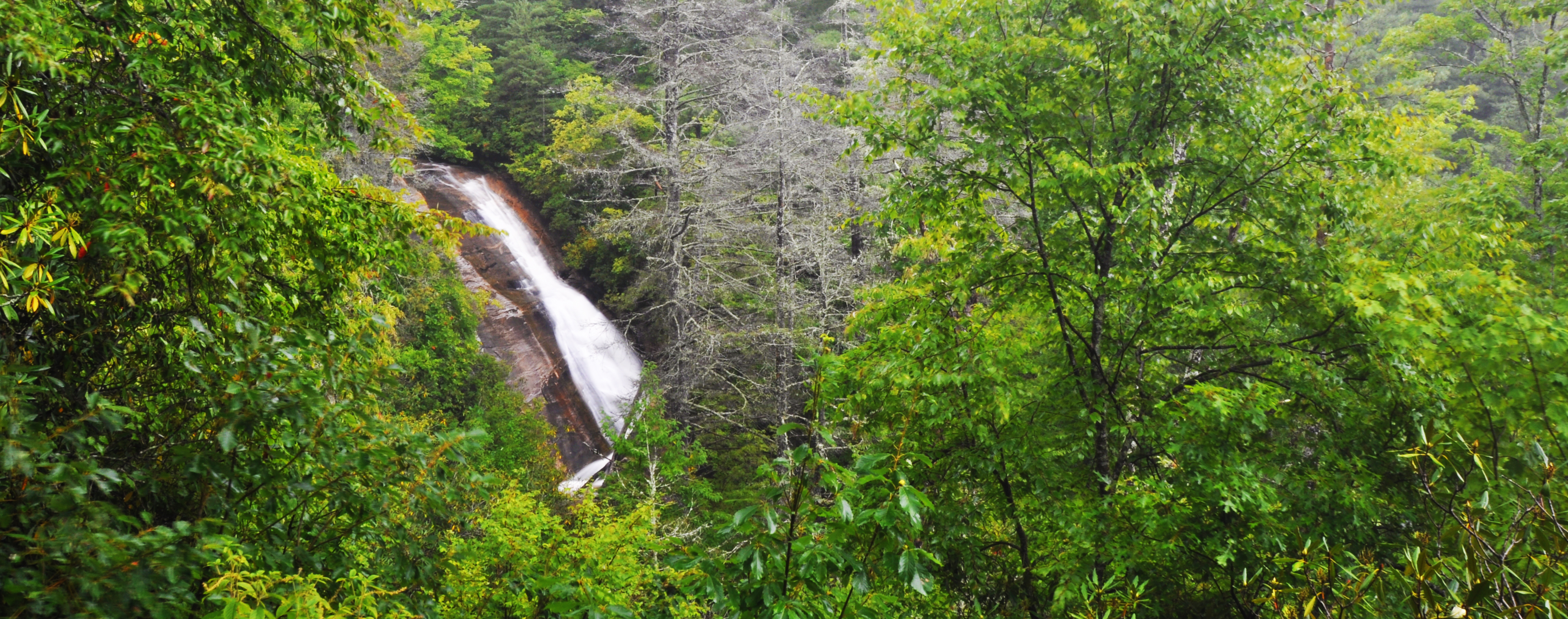 Upper Bearwallow Falls through the trees at Gorges State Park
