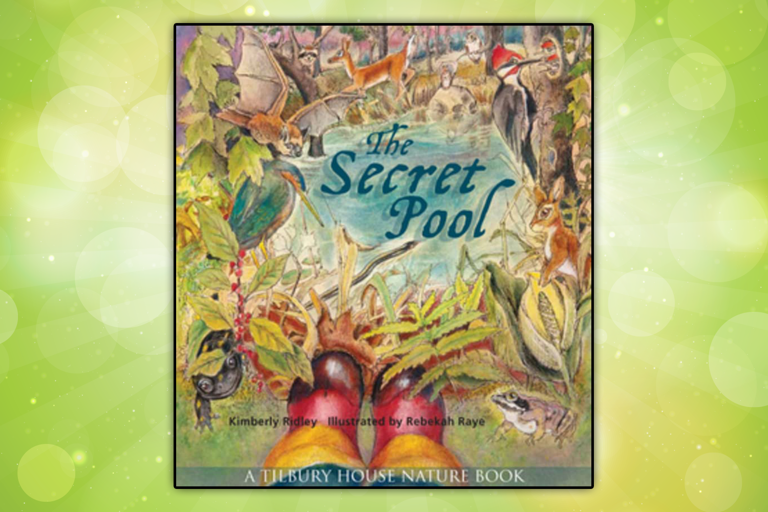 Book cover for "The Secret Pool" by Kimberly Ridley