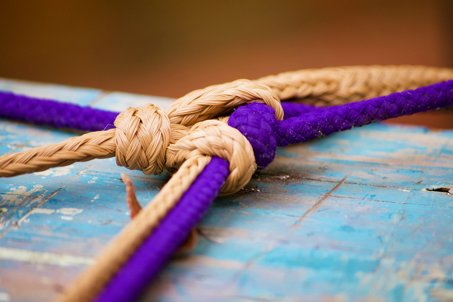 Brown and purple ropes tied up in knots: stock
