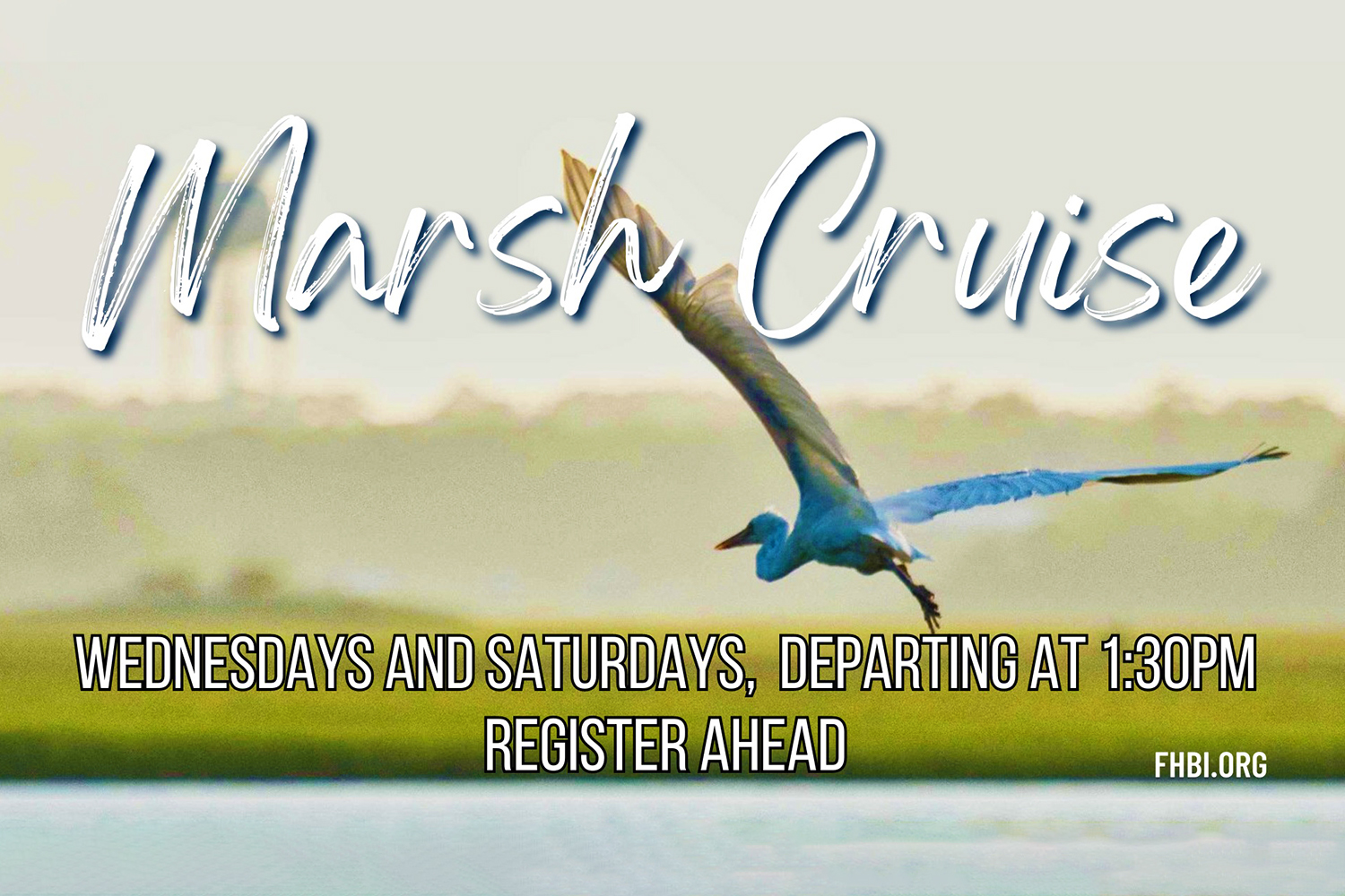 Graphic for Marsh Cruise, showing the marsh with a bird flying, courtesy of the Friends of the Hammocks and Bear Island Facebook page