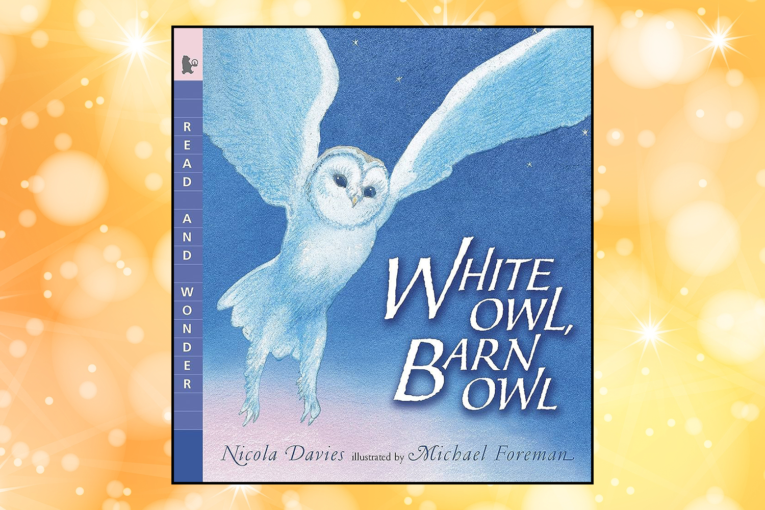 Cover of "White Owl, Barn Owl" by Nicola Davies