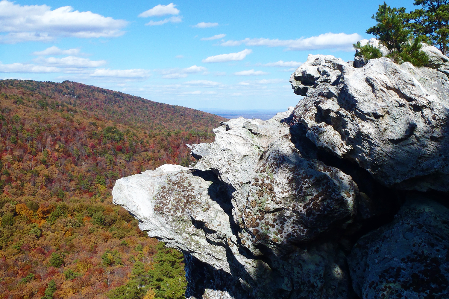 A rock outcrop along the north slope of Cook's Wall at Hanging Rock State Park, with trees in fall color in the background
