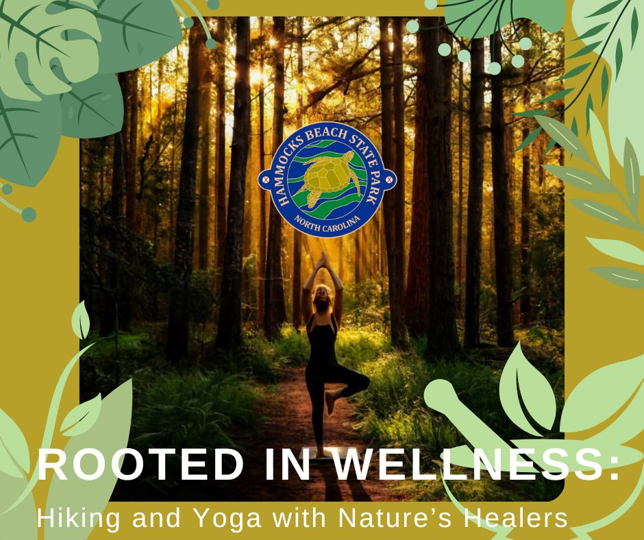 yoga pose in the forest