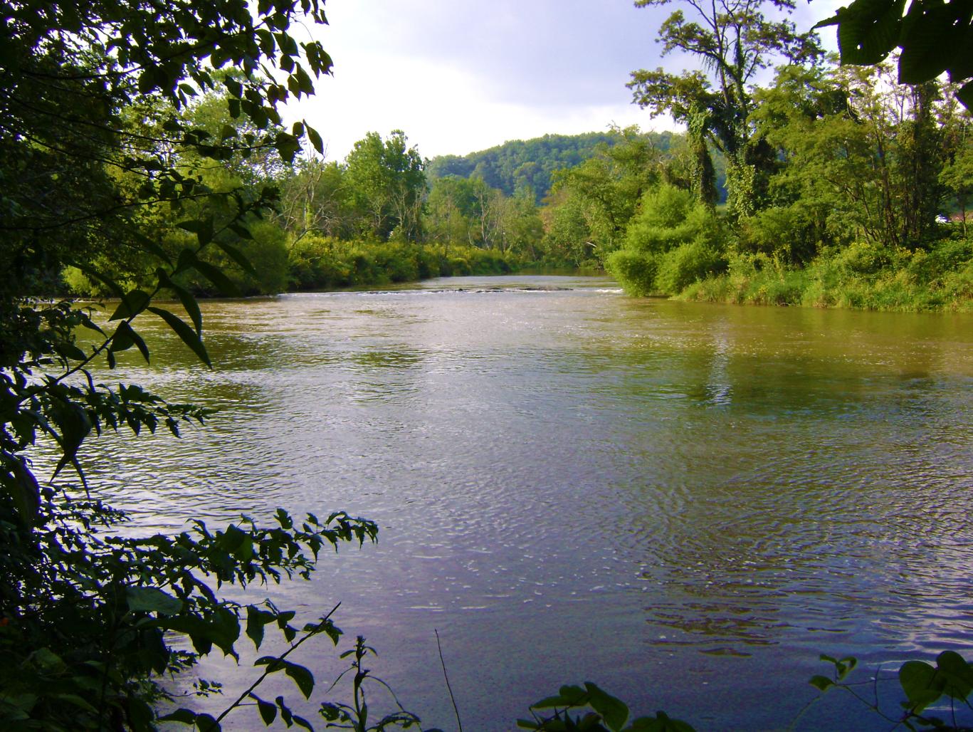 New River State Park Wagoner Access NC State Parks