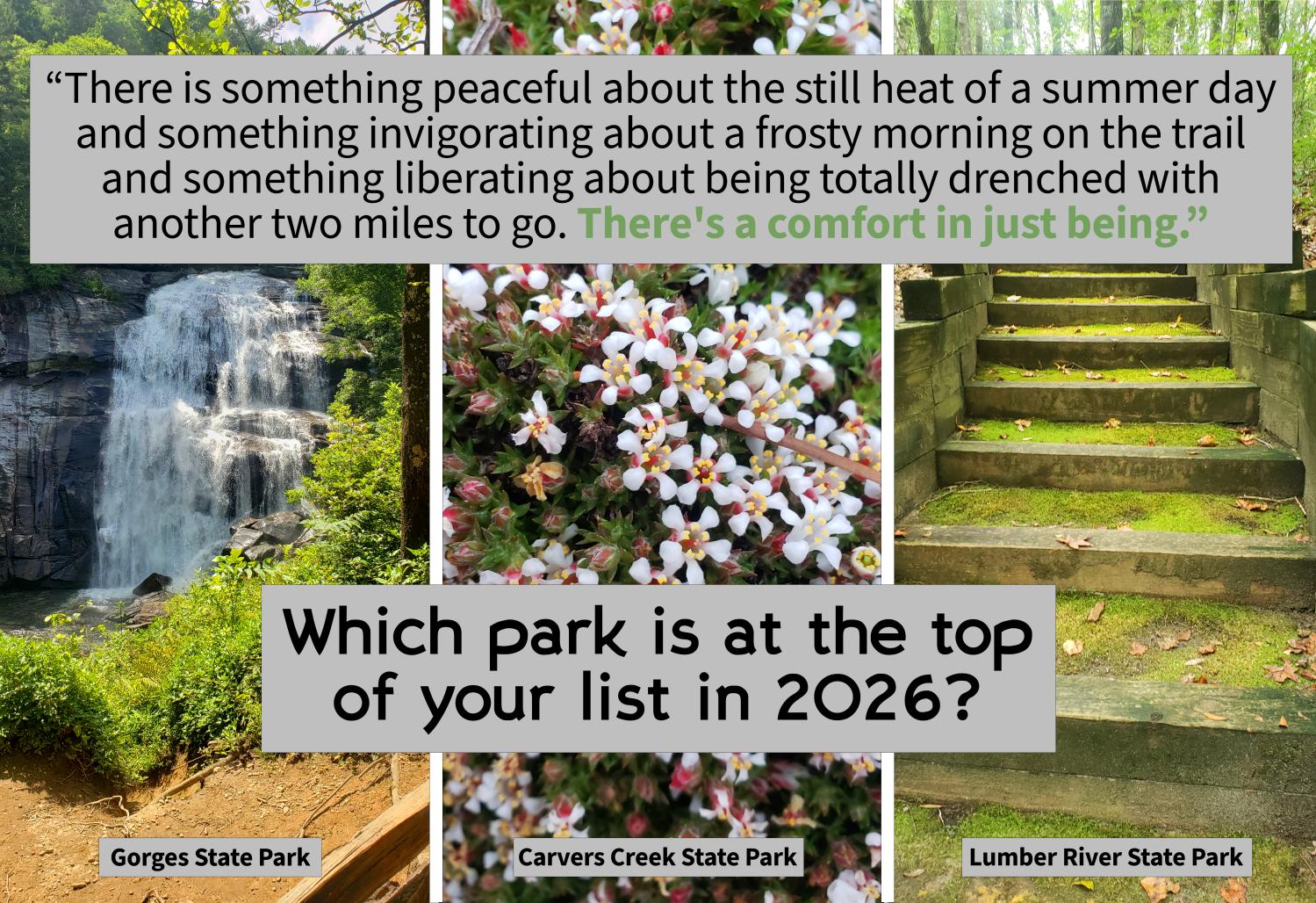 Three photos, the first of a waterfall in Gorges State Park. The second is of white, pink, and yellow flowers at Carvers Creek State Park, and the third is of moss covered steps at Lumber River State Park. The quote says "There is something peacful about the still heat of a summer day and something invigorating about a frosty morning on the trail and something liberating about being totally drenched with another two miles to go. There's a comfort in just being." 