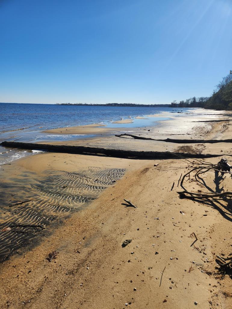 a sandy beach alongside a calm river with a blue sky
