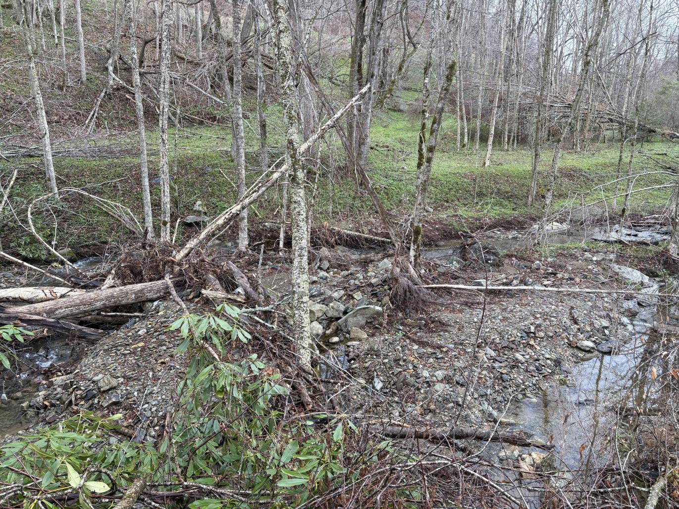 The stream along the lower Profile Trail at Grandfather Mountain post-Hurricane Helene damage, taken in April 2025.