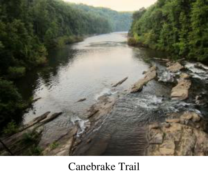 Canebrake Trail