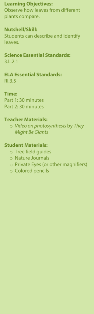 Open book icon