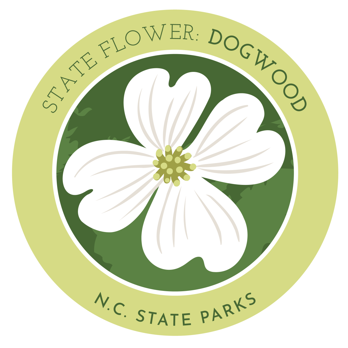 state flower - dogwood