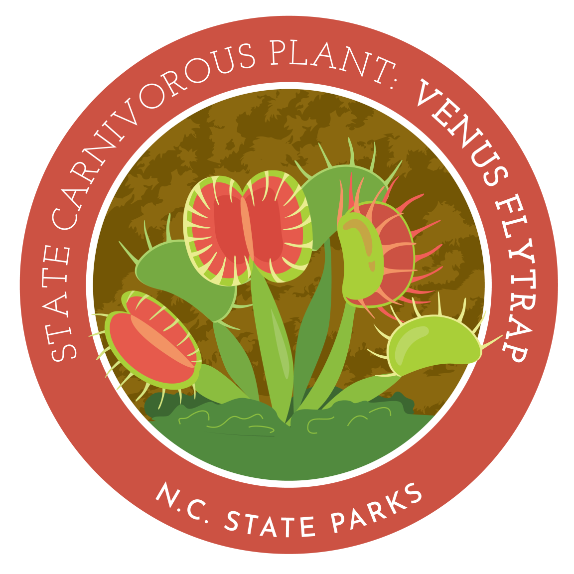 state carnivorous plant - venus flytrap