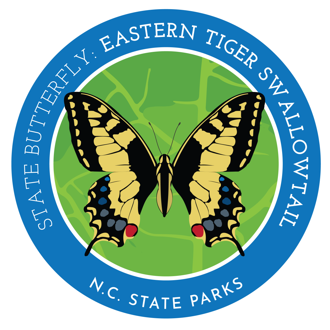 state butterfly - eastern tiger swallowtail