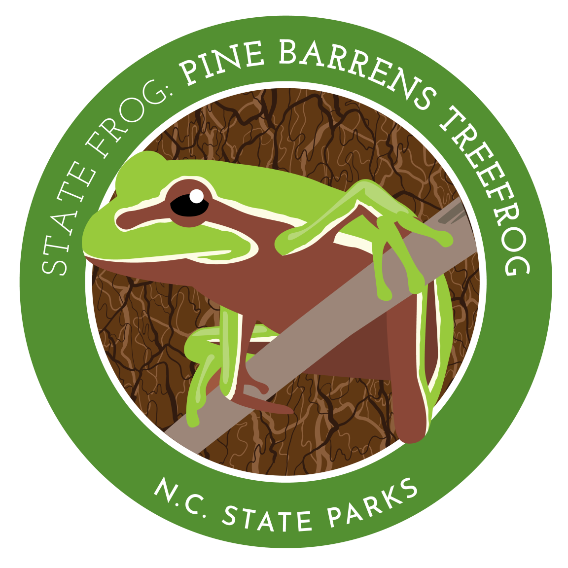 state frog - pine barrens tree frog 