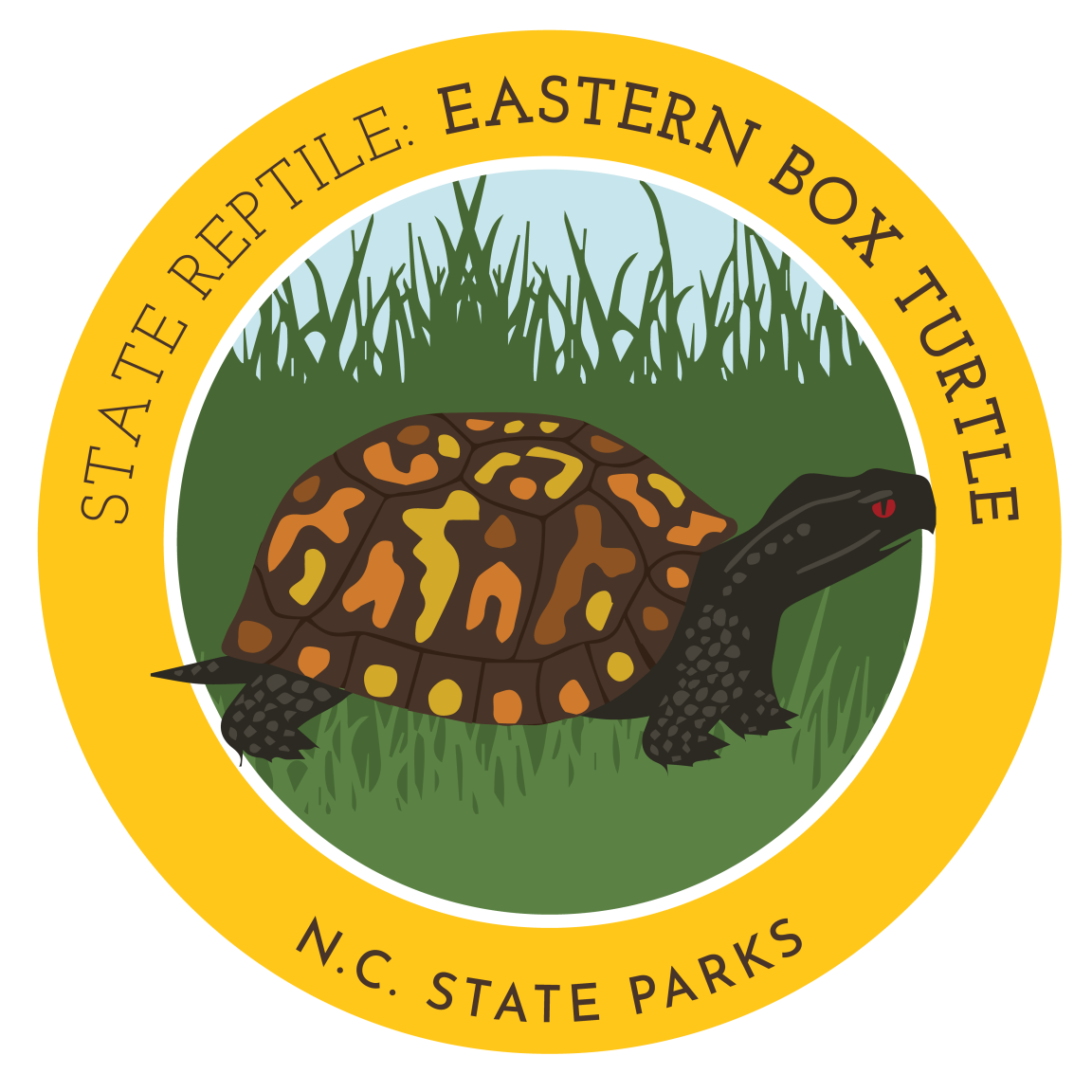 state reptile - eastern box turtle