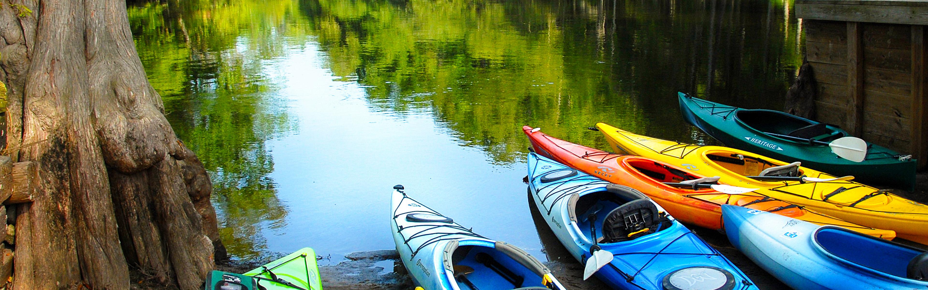 seven kayaks by a calm river on a clear day