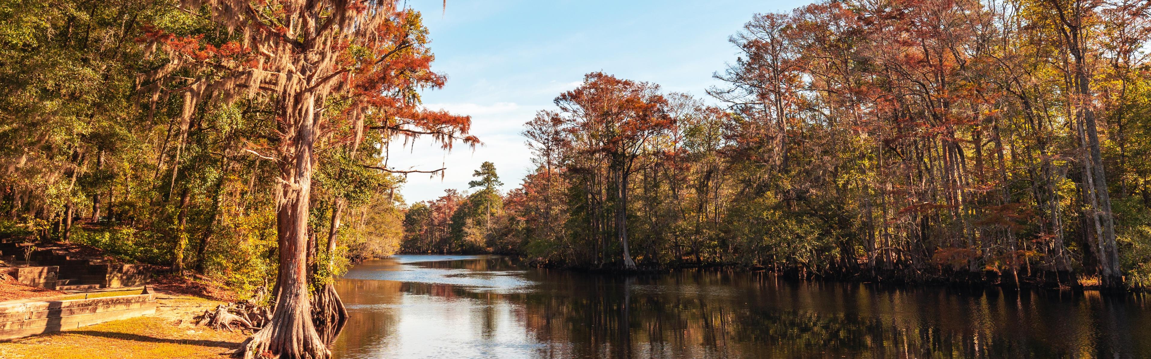 fall colors on trees surrounding a calm river with a blue sky in the background
