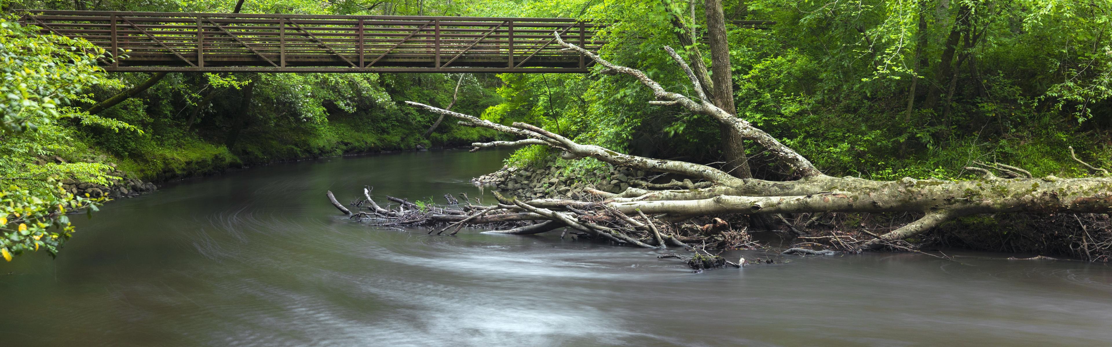 A pedestrian bridge crosses a fast flowing stream in a green forest