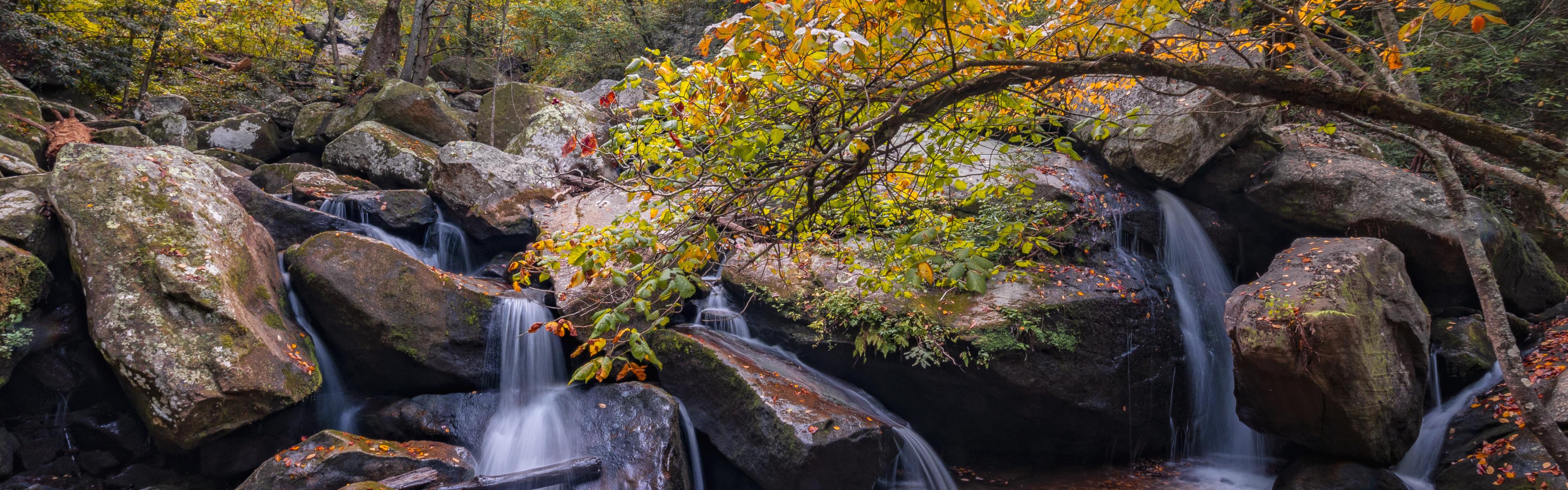 Small waterfalls flow through rocks under a fall canopy of color