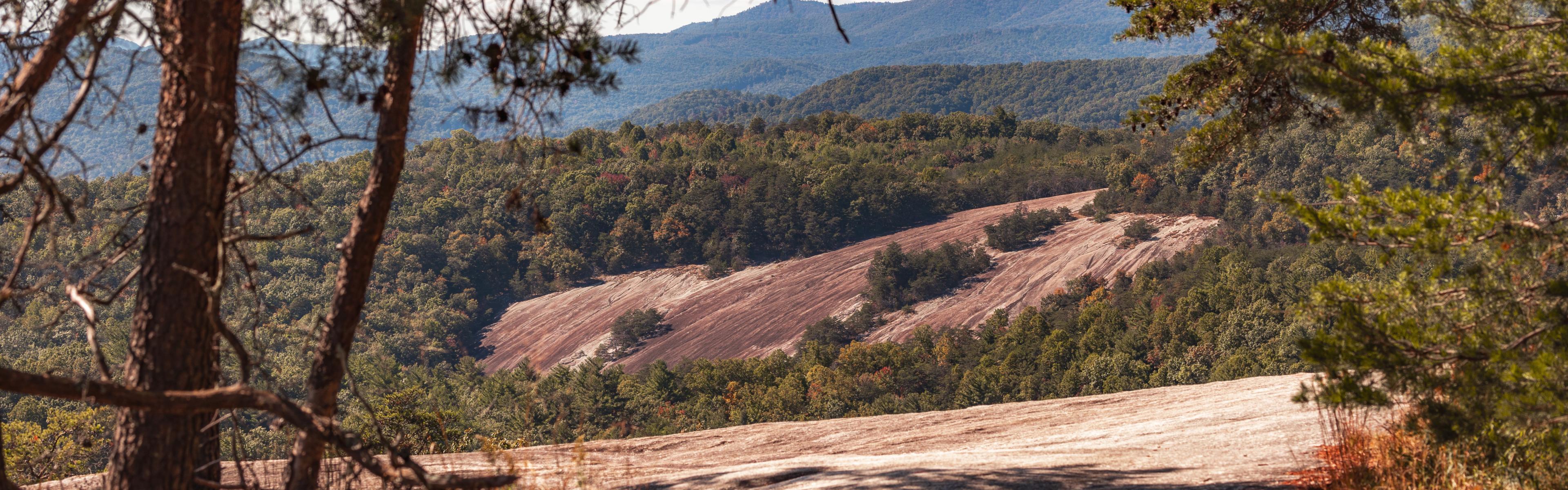 Large rock outcroppings framed through trees with mountains in the distance