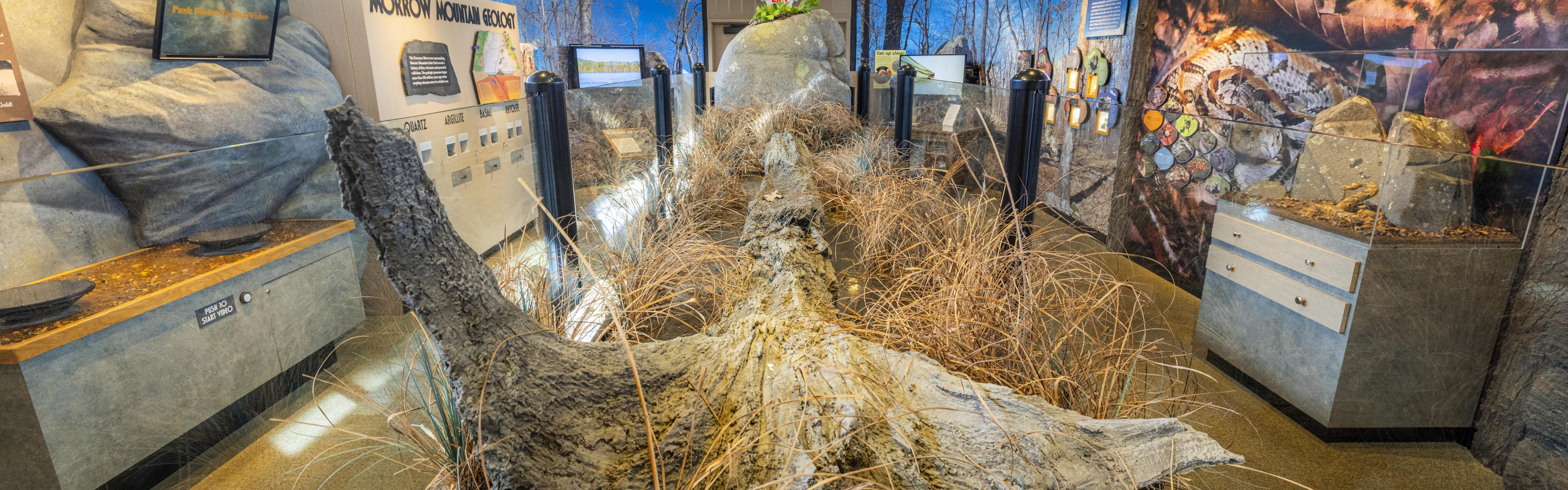 Inside the Morrow Mountain museum with various exhibits