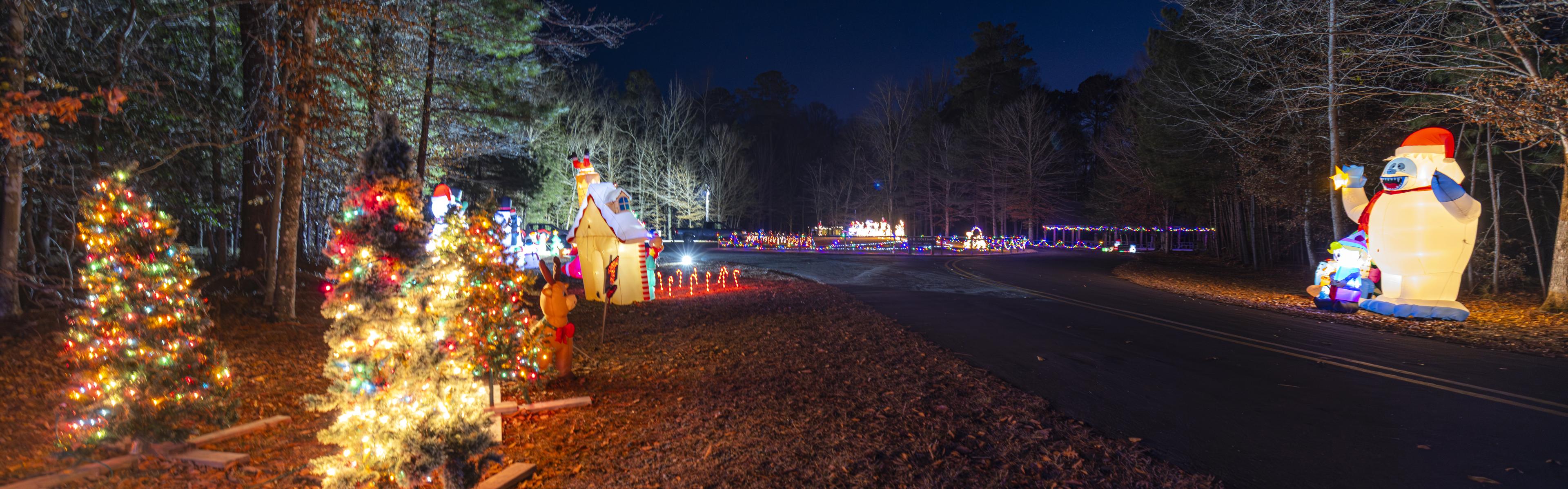 Holiday lights at the park's annual 'Light Up the Millpond' event