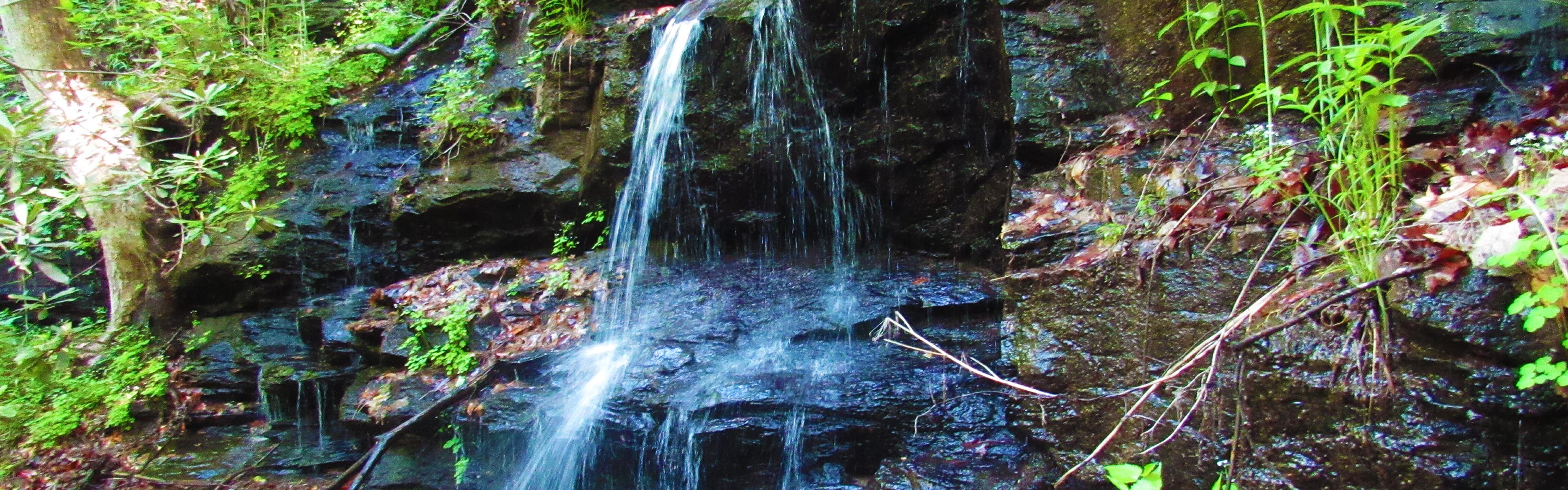 A small waterfall surrounded by green leafs and ferns