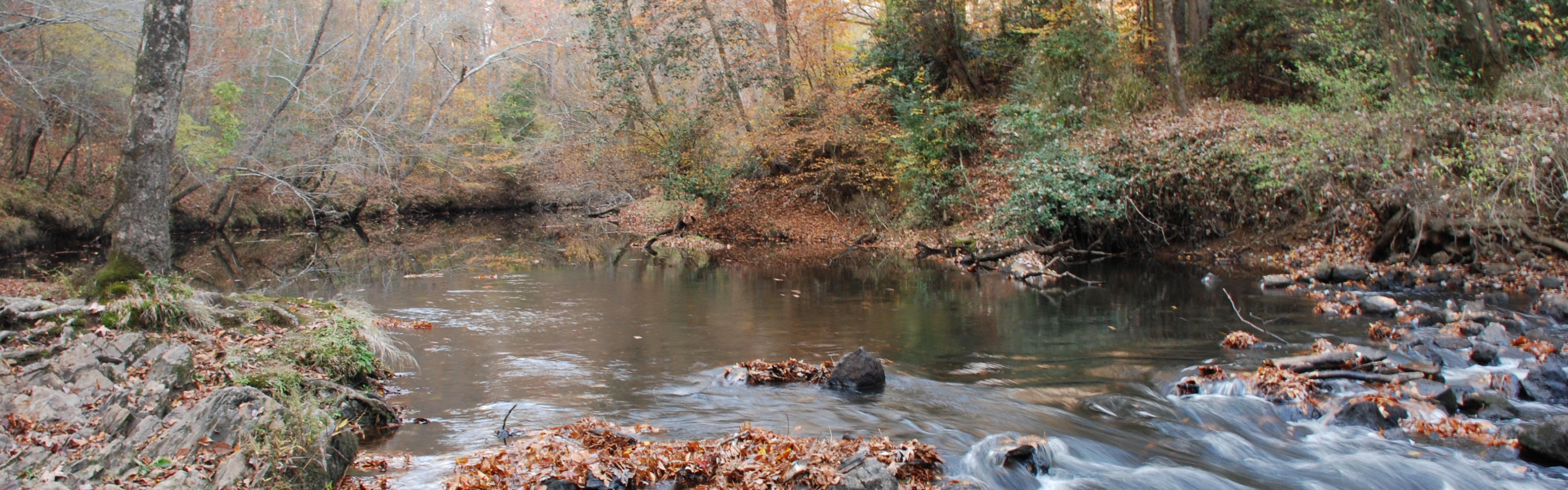 A flowing creek in late fall at sunset