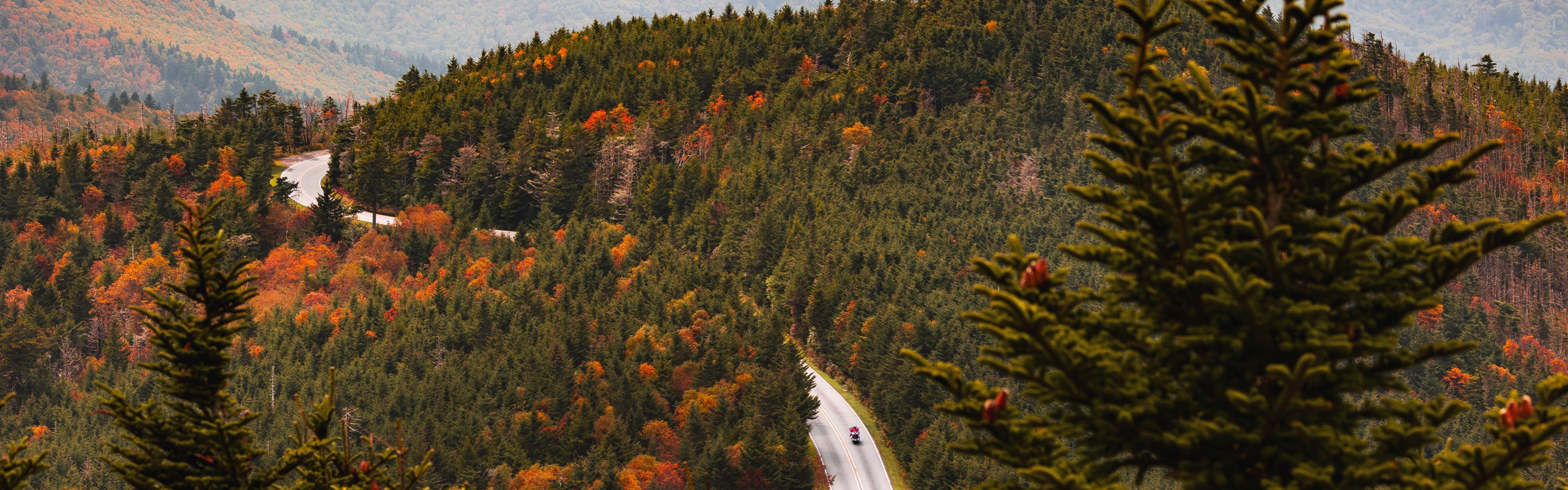 A motorcycle rides the road down from the summit of Mount Mitchell with fall colors and green forest around