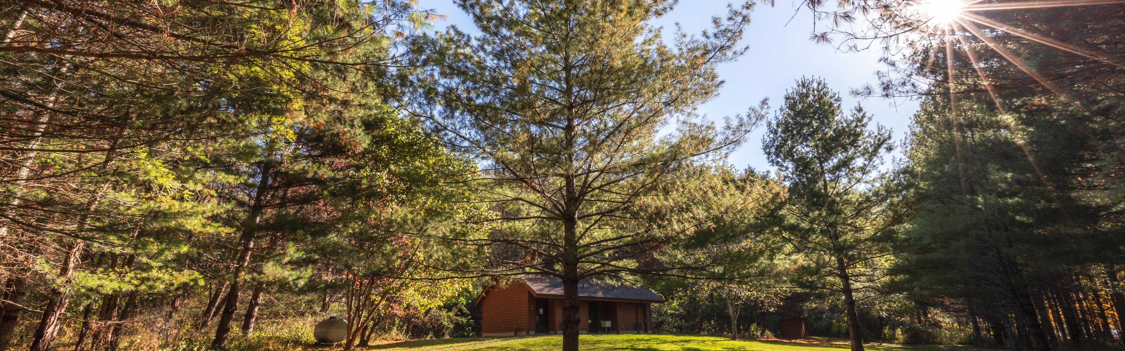 A sunflare shines through trees on a fall day at New River State Park