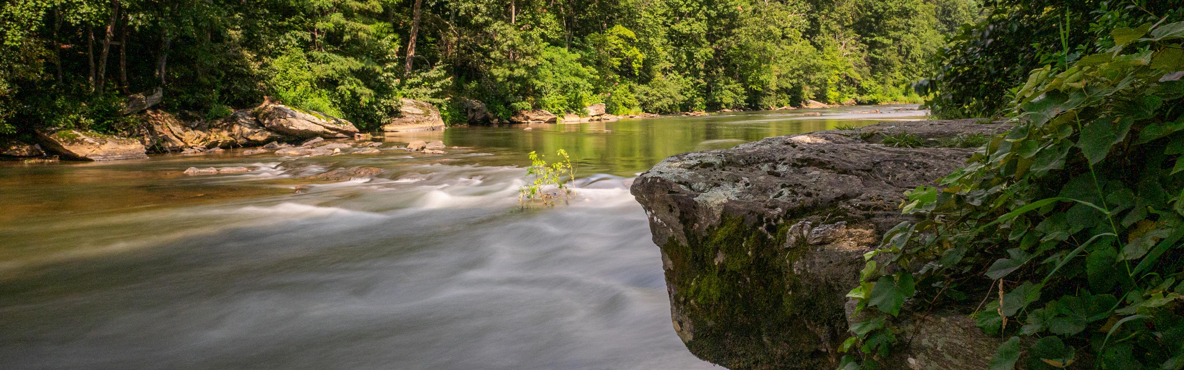 The New River flows over rocks through a spring forest
