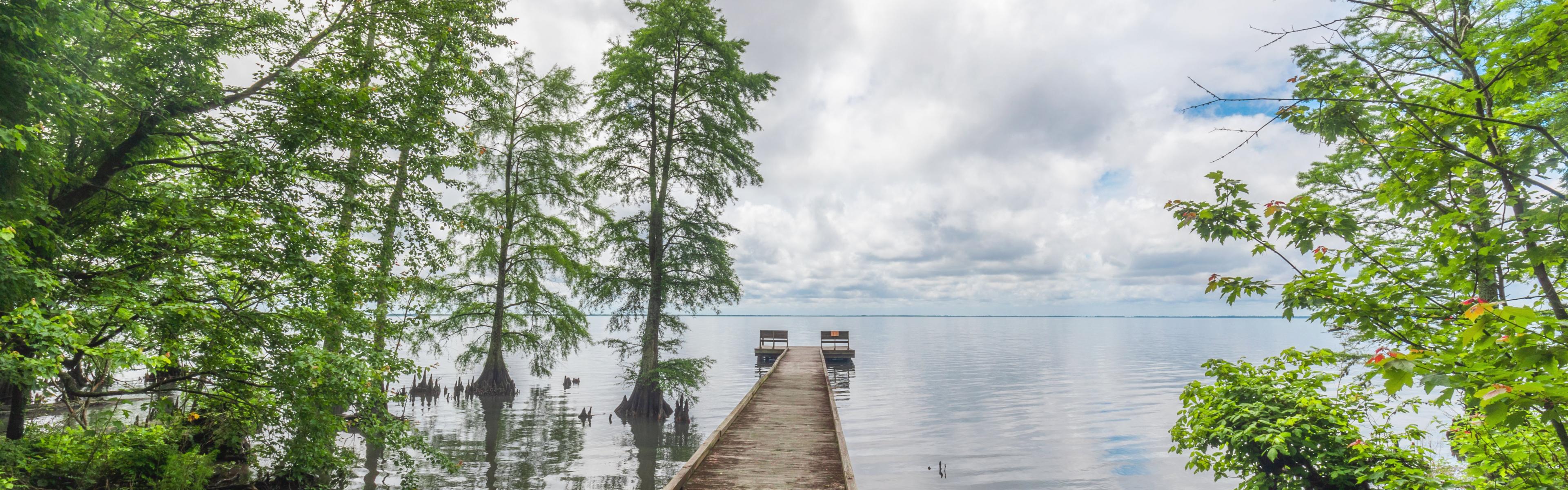 A dock leads out to the water through lakeside cypress trees on a mostly cloudy day