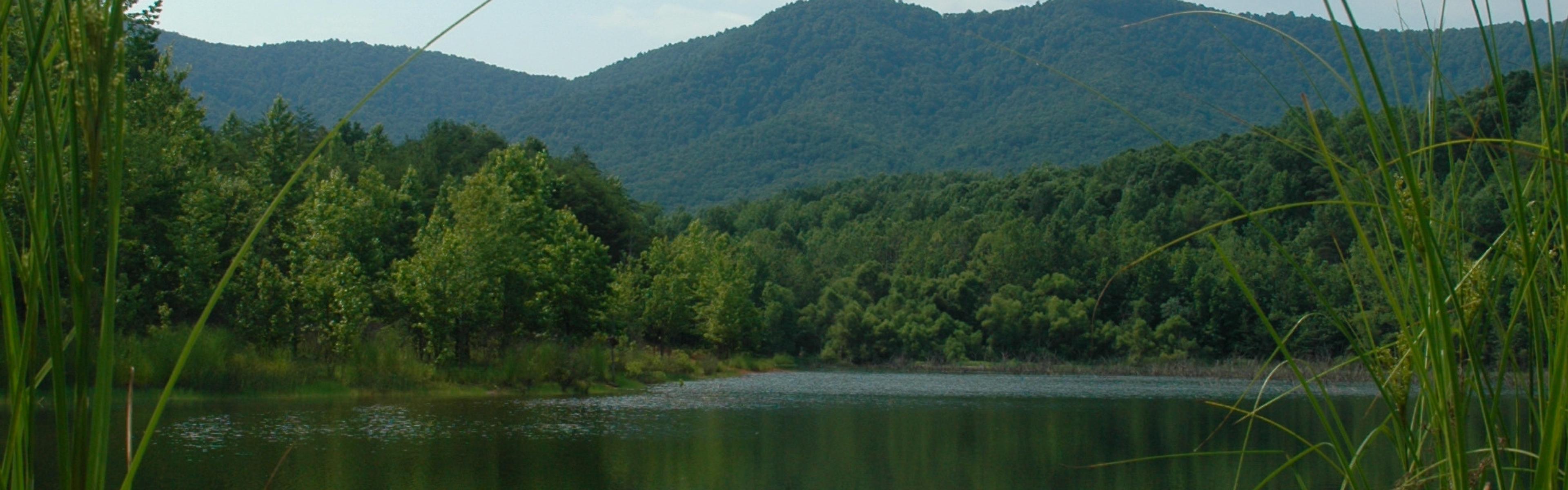 South Mountains State Park landscape reflected in a lake as seen through tall grass