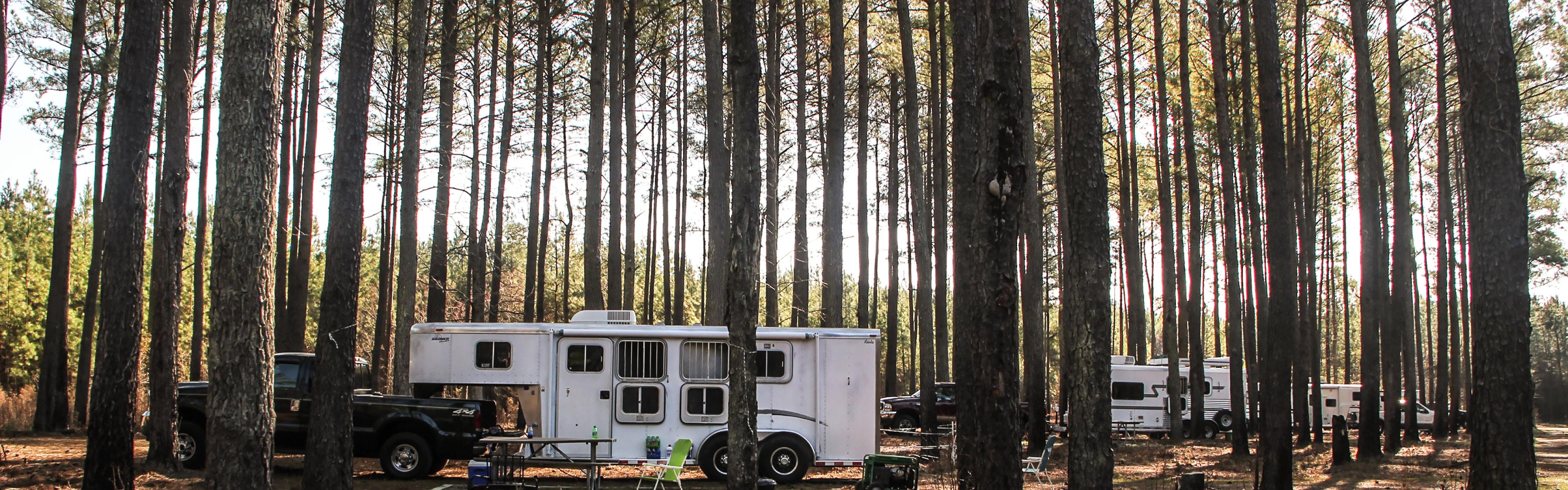 RVs in the woods