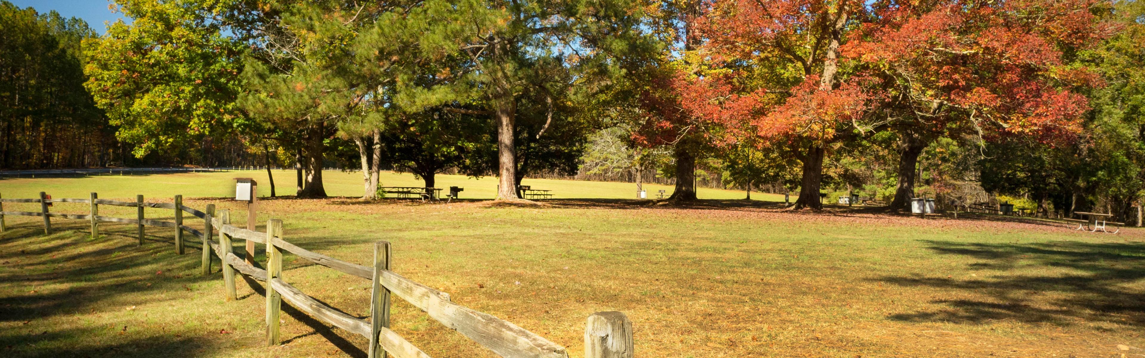 A fence and picnic trees with fall color on trees