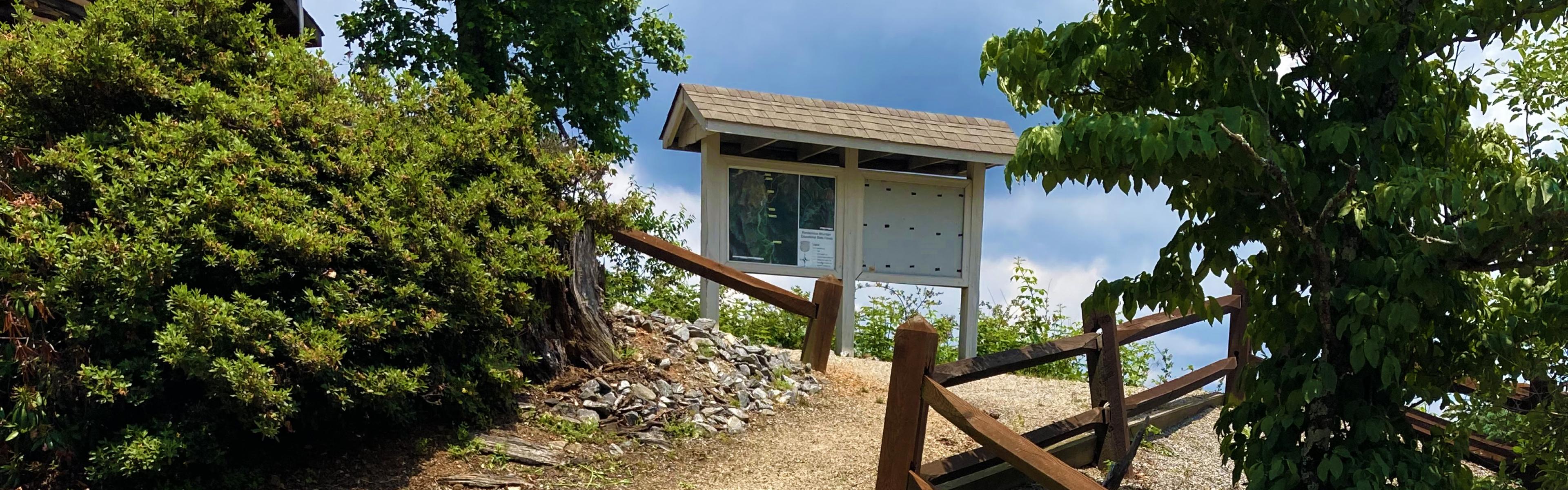 An information panel on a trail with storm clouds in the background and forest around