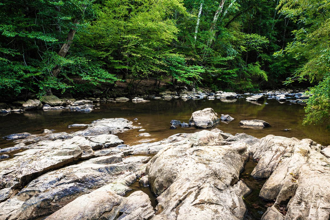 Rocks on the river at Eno River State Park